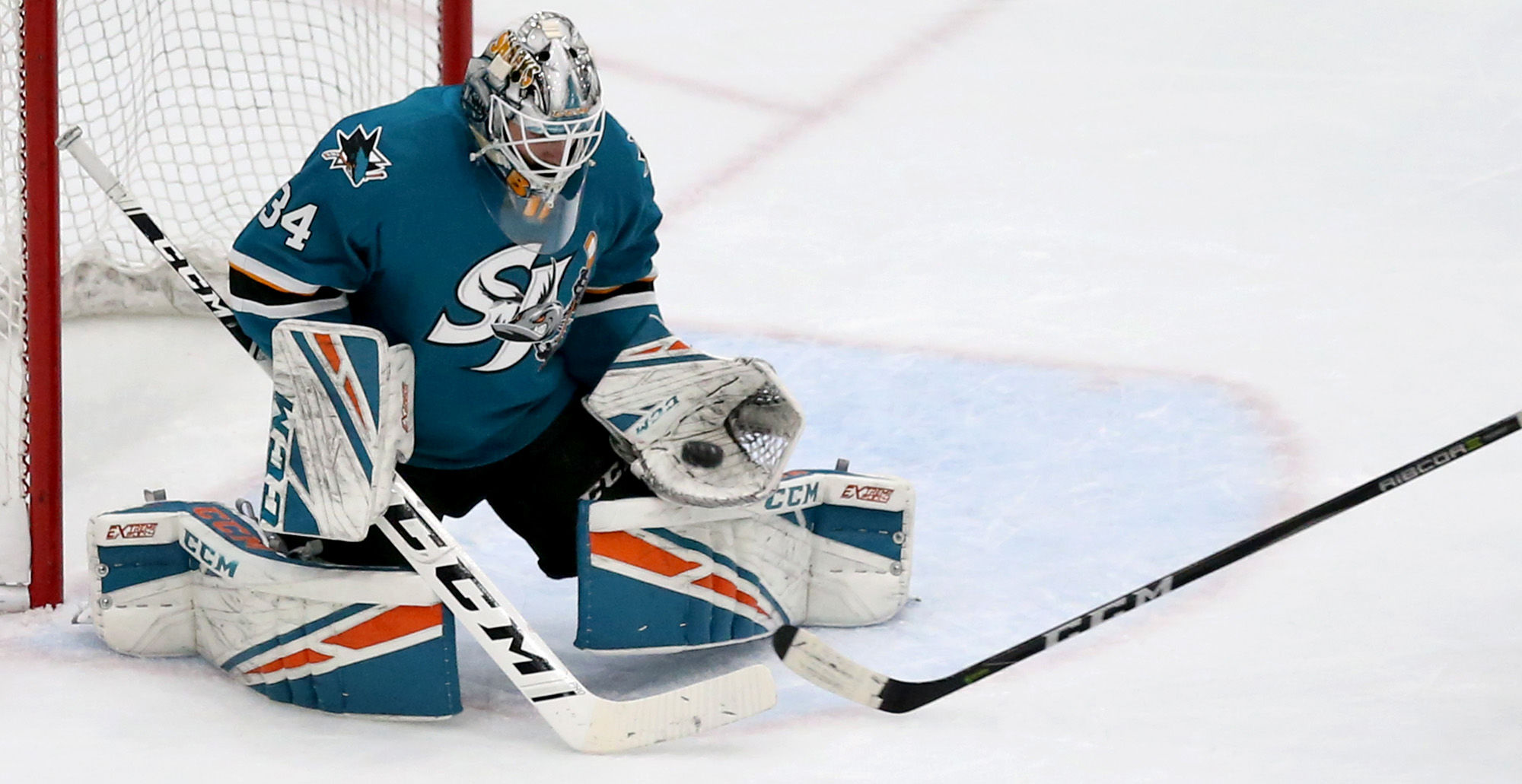Roadrunners vs San Jose